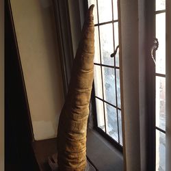 penis of a whale penis on a wooden plinth, sitting vertically on a windowsill