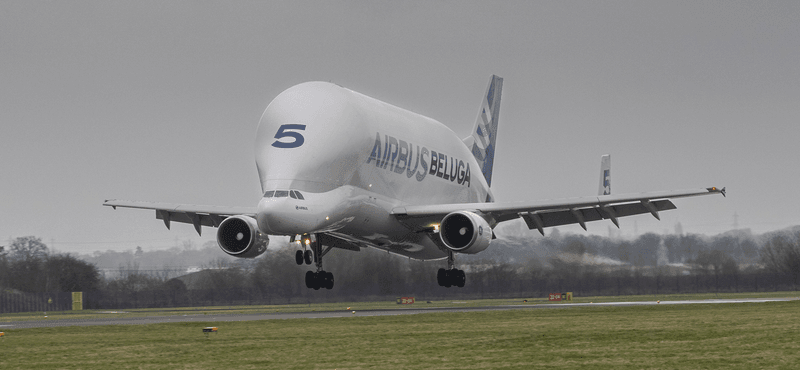 Airbus BelugaST lands under the grey UK skies on January 29, 2026.  Image credit: Airbus