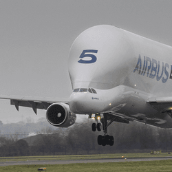 Airbus BelugaST lands under the grey UK skies on January 29, 2026.  Image credit: Airbus