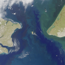 The Bering Strait from space. A hyperthetical dam would use the Diomede Islands in the middle to shift angles without being weakened
