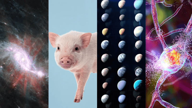 Some of the biggest scientific discoveries of 2025.