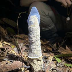 a cicada tower stick out of the amazon's forest floor, another image shows a second tower with a condom wrapped over the top