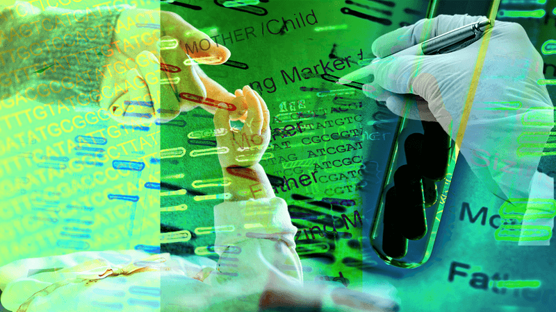 composite image to illustrate DNA parental testing in shades of green, including images of DNA fingerprinting readouts, a parent holding a young baby's hand, a gloved hand holding a pen indicating at a paternity test result, and a test tube