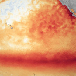 Satellite sea surface temperature departure in the Pacific Ocean for the month of October 2015, with darker orange-red colors showing above normal temperatures - a clear sign of El Niño.
