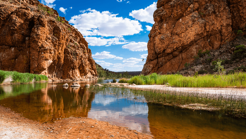 Finke River slinks through the Glen Helen Gorge in the Northern Territory of Australia.   