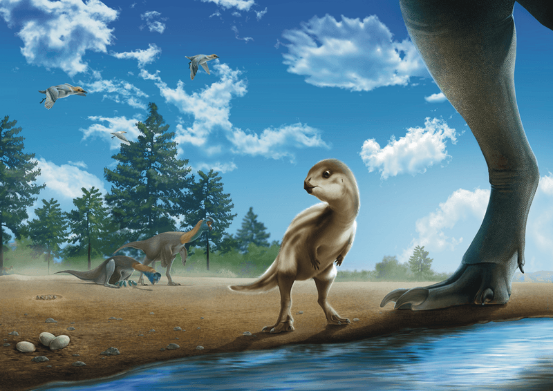 Artist's impression of Doolysaurus huhmini in its environment, with birds and non-avian dinosaurs of the era around it.