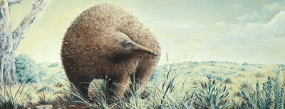 An artist's illustration of a Giant long-beaked echidna (Megalibgwilia owenii) wandering around ancient Australia. 