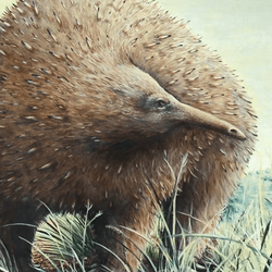 An artist's illustration of a Giant long-beaked echidna (Megalibgwilia owenii) wandering around ancient Australia. 