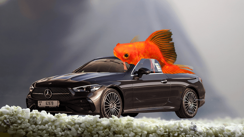 A goldfish photoshopping into a black car inside a fish tank