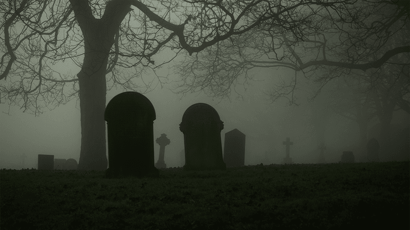 Graves and a tree in a dark, foggy graveyard.