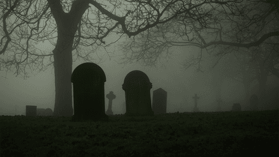 Graves and a tree in a dark, foggy graveyard.