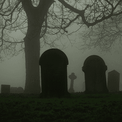 Graves and a tree in a dark, foggy graveyard.