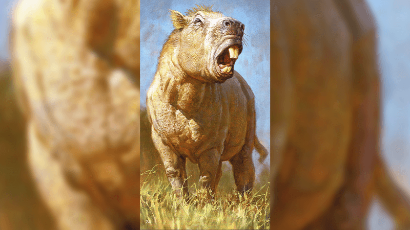 artist's impression of Josephoartigasia monesi, a large, pacarana-like rodent.