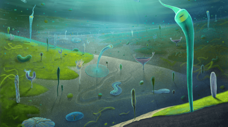 A reconstruction of the Reconstruction of Jiangchuan biota, which at ~554-539 million years ago preceeded the Cambrian Explosion