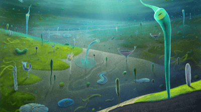 A reconstruction of the Reconstruction of Jiangchuan biota, which at ~554-539 million years ago preceeded the Cambrian Explosion