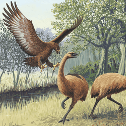 a giant eagle swoops down on two fleeing moa