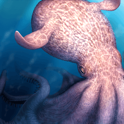 An artist's impression of Nanaimoteuthis haggarti, the largest octopus ever found, larger than the mosasaurs with which it shared the Cretaceous oceans.