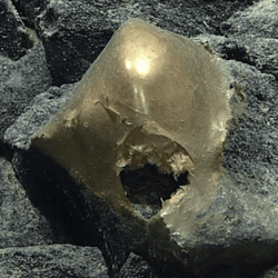The "golden egg" was seen on the seafloor near Alaska in September 2023.