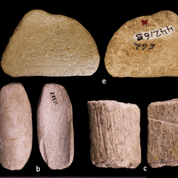 A figure from a research paper showing both sides of five example dice recovered from the Rockies.