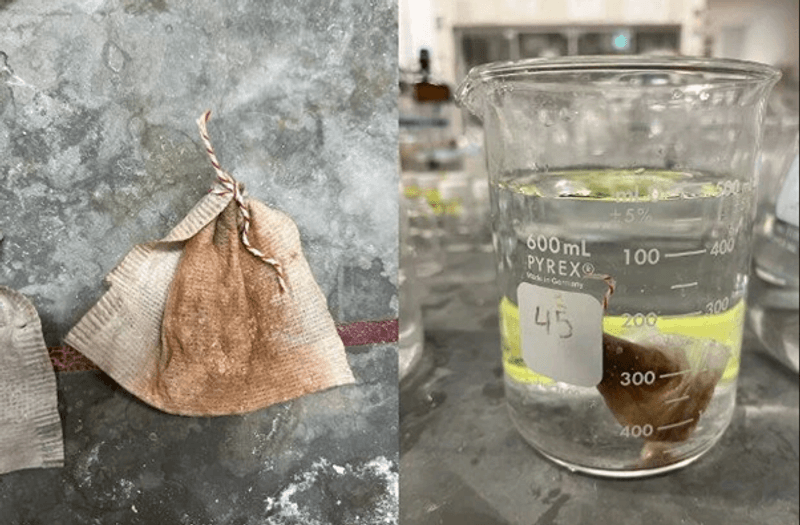 This modified tea bag absorbs arsenic, instead of releasing flavor, and it could be millions of people's salvation