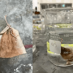 This modified tea bag absorbs arsenic, instead of releasing flavor, and it could be millions of people's salvation