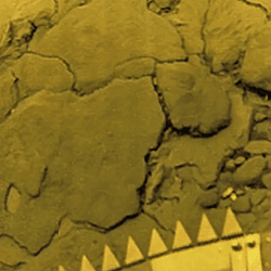 The surface of Venus, as photographed by the Soviet Venera 14 probe.