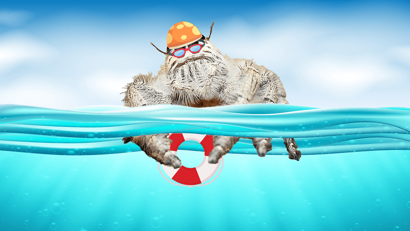 A image of a half underwater half above water graphic with a spider wearing an orange spotty swimming cap, holding a red and white life ring and wearing red goggles.