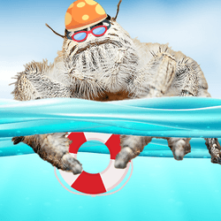 A image of a half underwater half above water graphic with a spider wearing an orange spotty swimming cap, holding a red and white life ring and wearing red goggles.