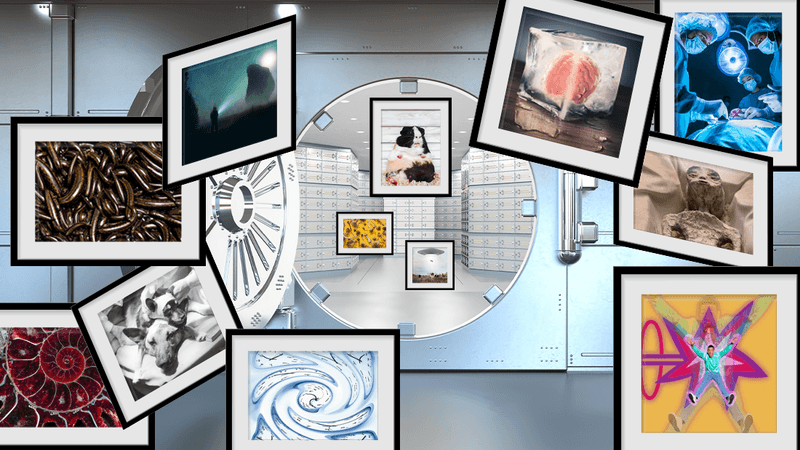A digital photo showing a classic vault-like aperture with an open door. Within the vault are columns with draws from which photos are escaping. The photos have spilled out of the vault and show, from left to right, a framed image of a load of leeches; the spiral inside a shell; a black and white photo of a dog having another head sown to its neck; a digital image of a person at night shining a light on a giant-like creature; a digital image of clocks swirling and stretching; a brain in a block of ice; a photo taken from first-person perspective of a patient looking up at their surgeons from an operating table; a mummified body of an alien-like creature; and a man being shot by a ray gun that's shrinking him. Inside the vault, there are three framed images, one of the guinea pig sitting up; a handful of dried psilocybin mushrooms arrange on a yellow background; and a photo of cows in a field, one of which is being beemed up into the air by a UFO.  