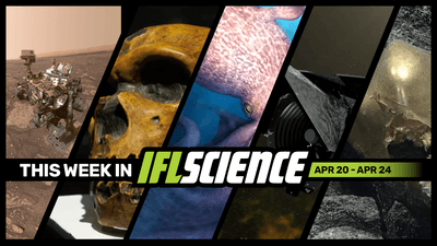 All the biggest science news stories of the week.
