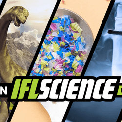 All the biggest science news stories of the week.